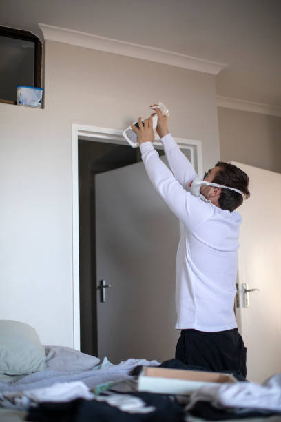 Best Mold Damage Restoration  in Hortonville, WI