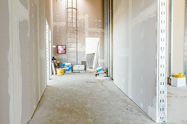  Hortonville, WI Mold Removal Pros